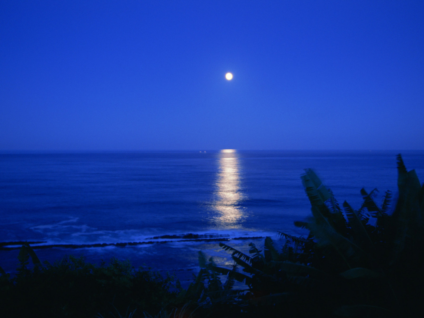 Лунная дорожка