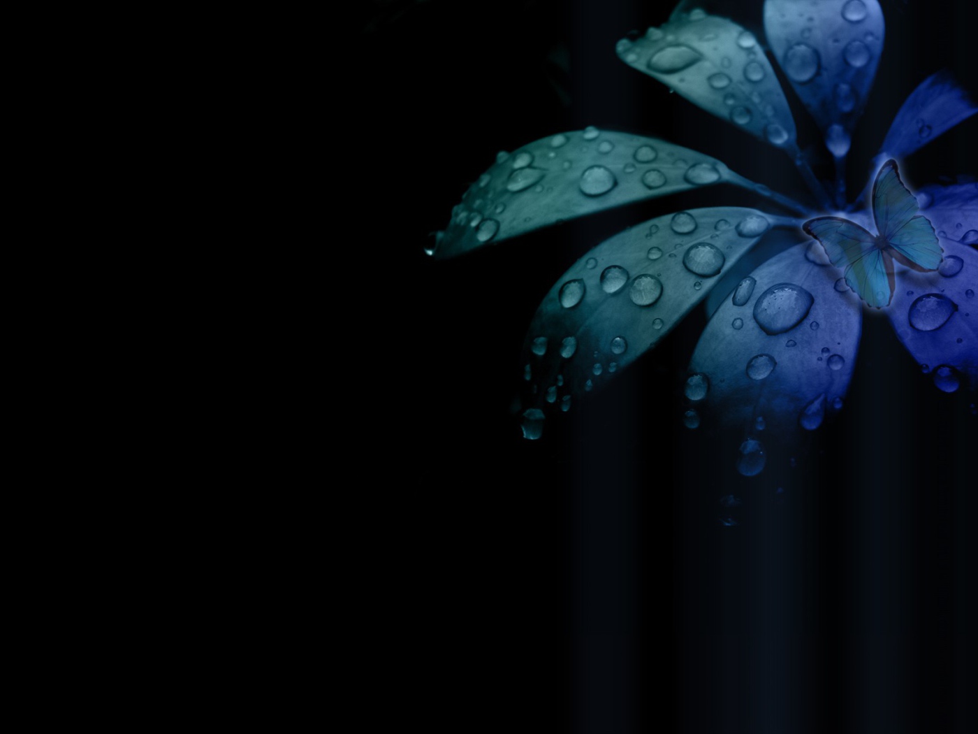 Бабочка на цветке