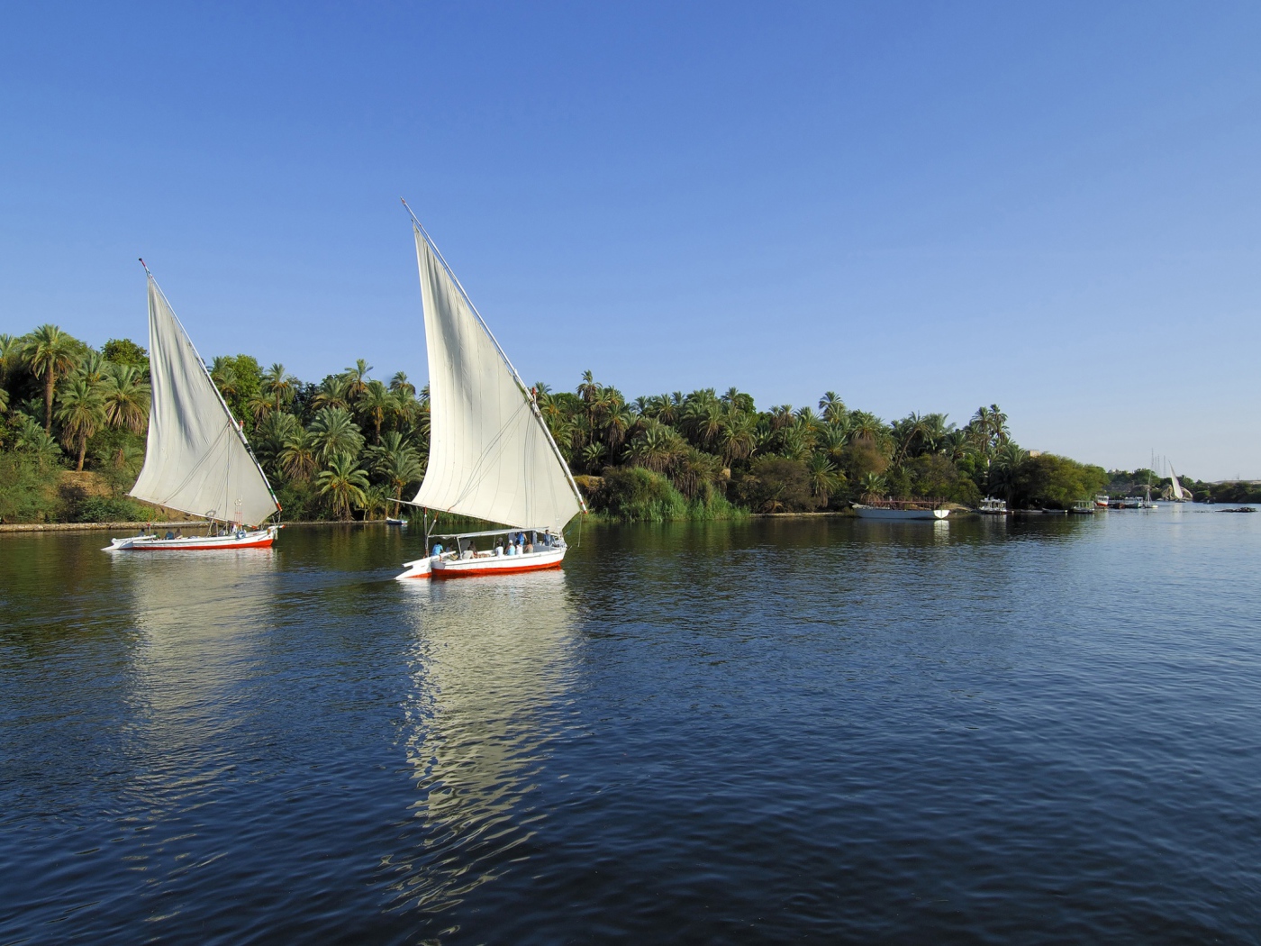 Sailboats on the Nile, Egypt