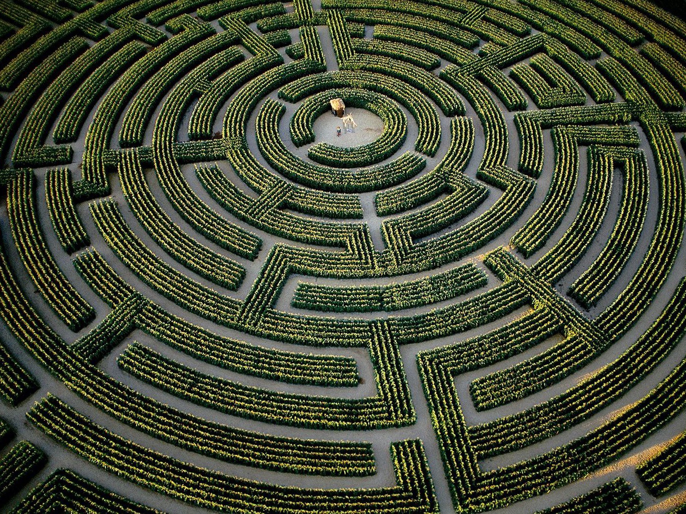 Сад лабиринт