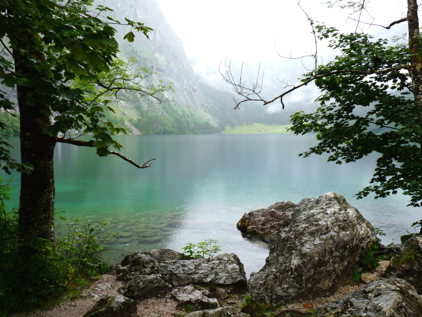 Природа Баварии