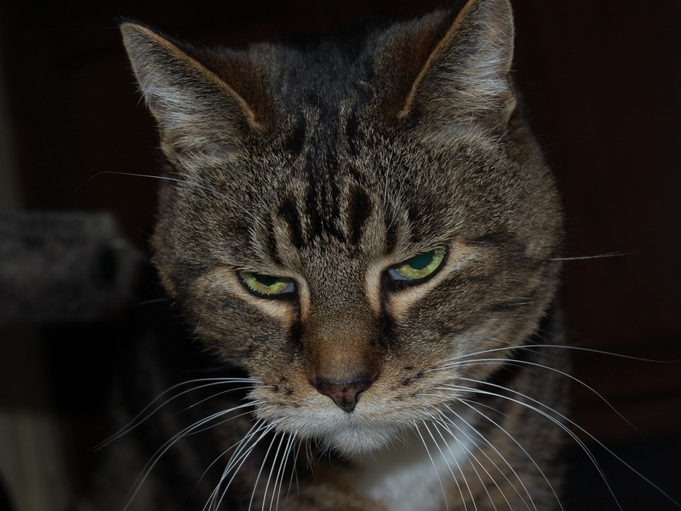 Весна сводит меня с ума