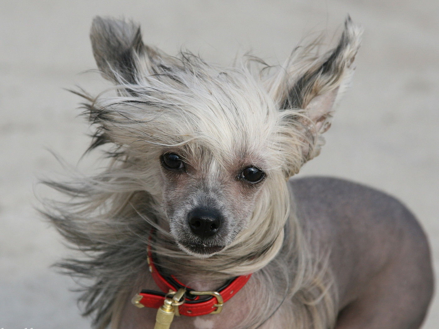 Добрый взгляд