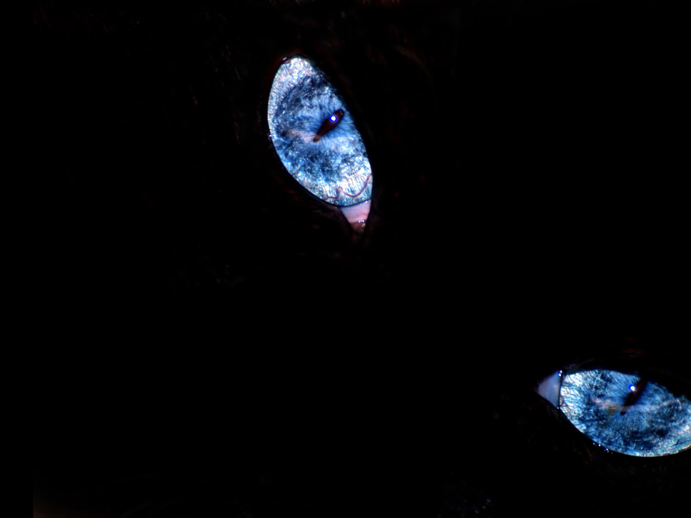 Эти глаза напротив