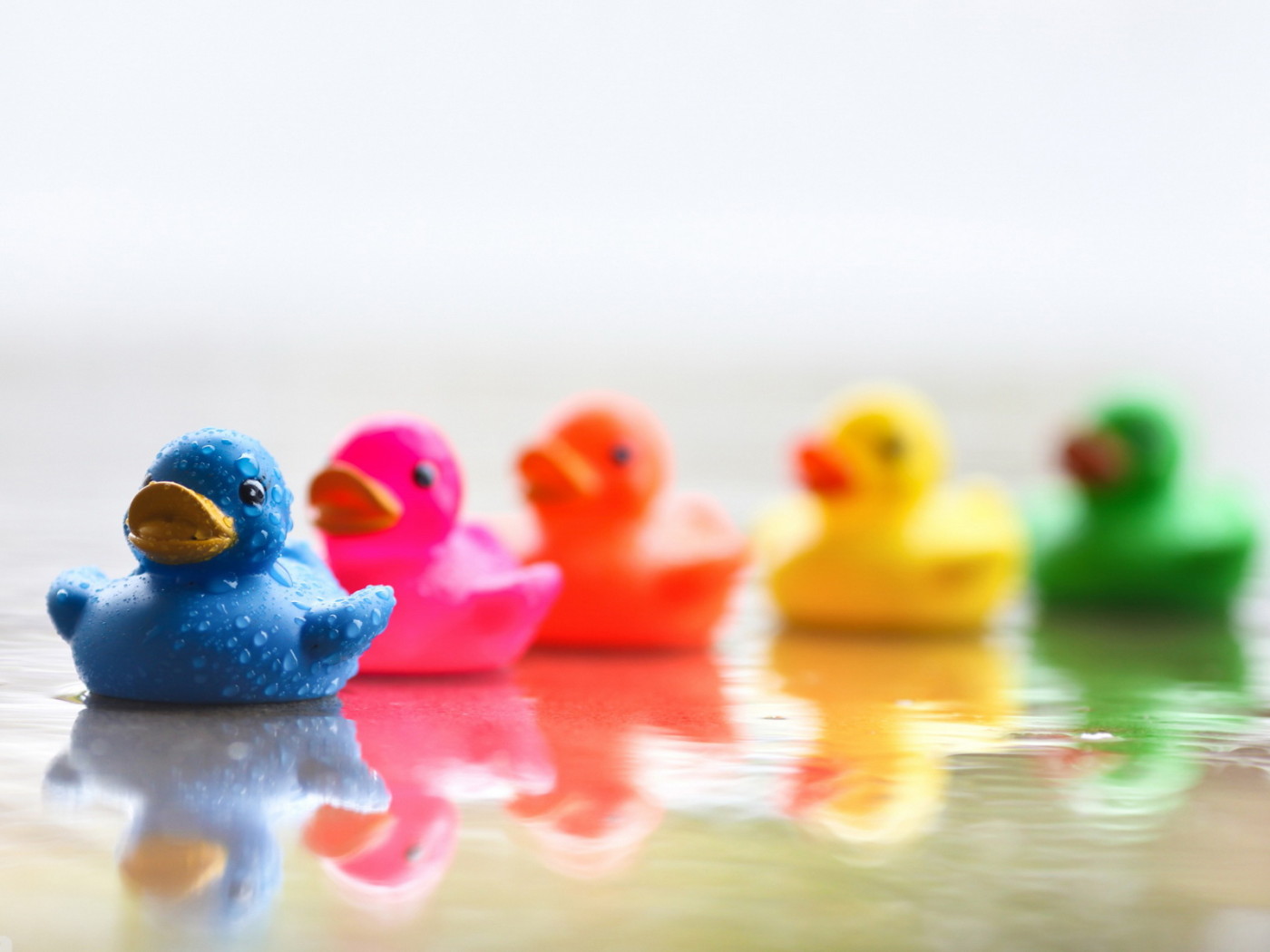 Цветные уточки