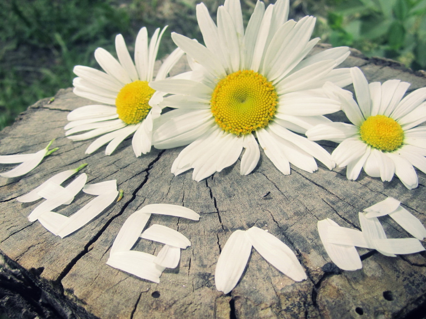 надпись Люблю