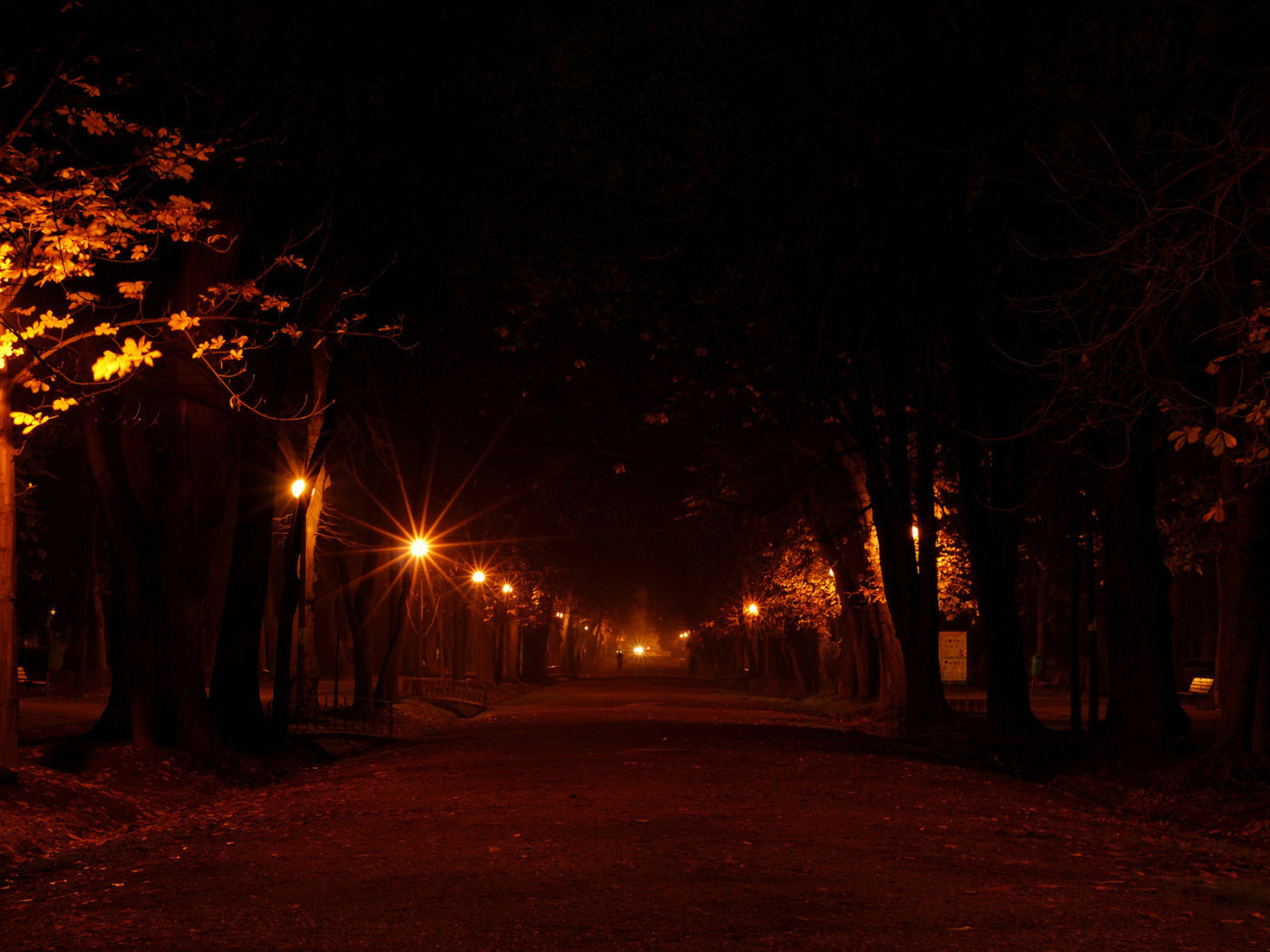 Аллея в огнях