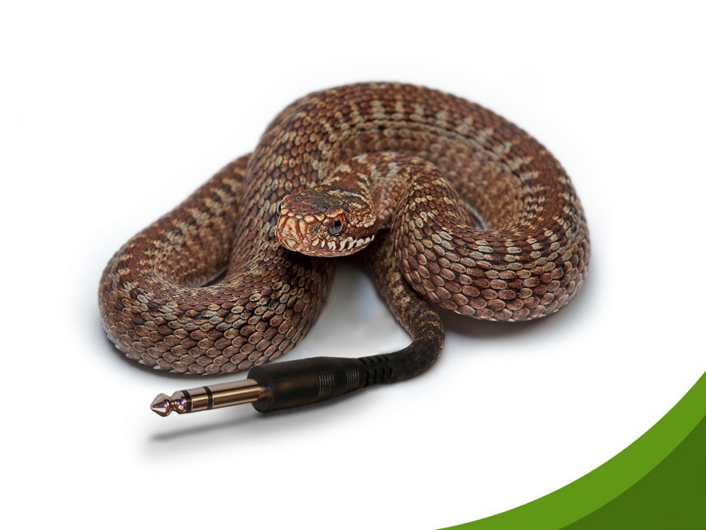 Компьютерная змейка