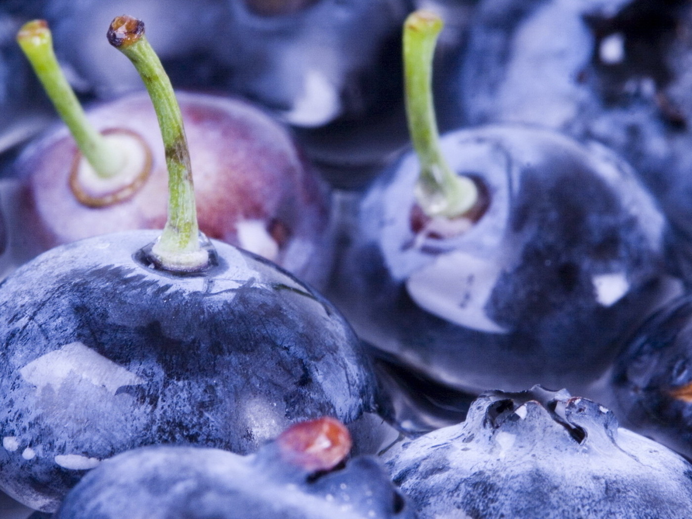 Ягоды черники