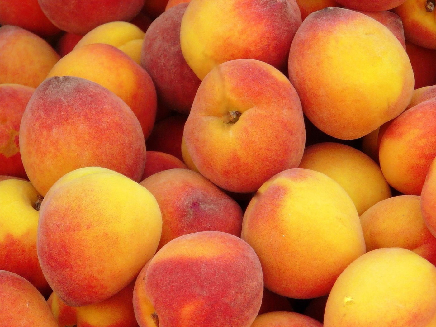 Куча персиков