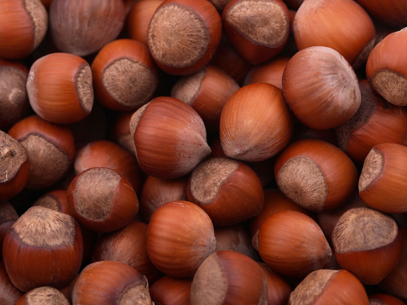Лесные орехи