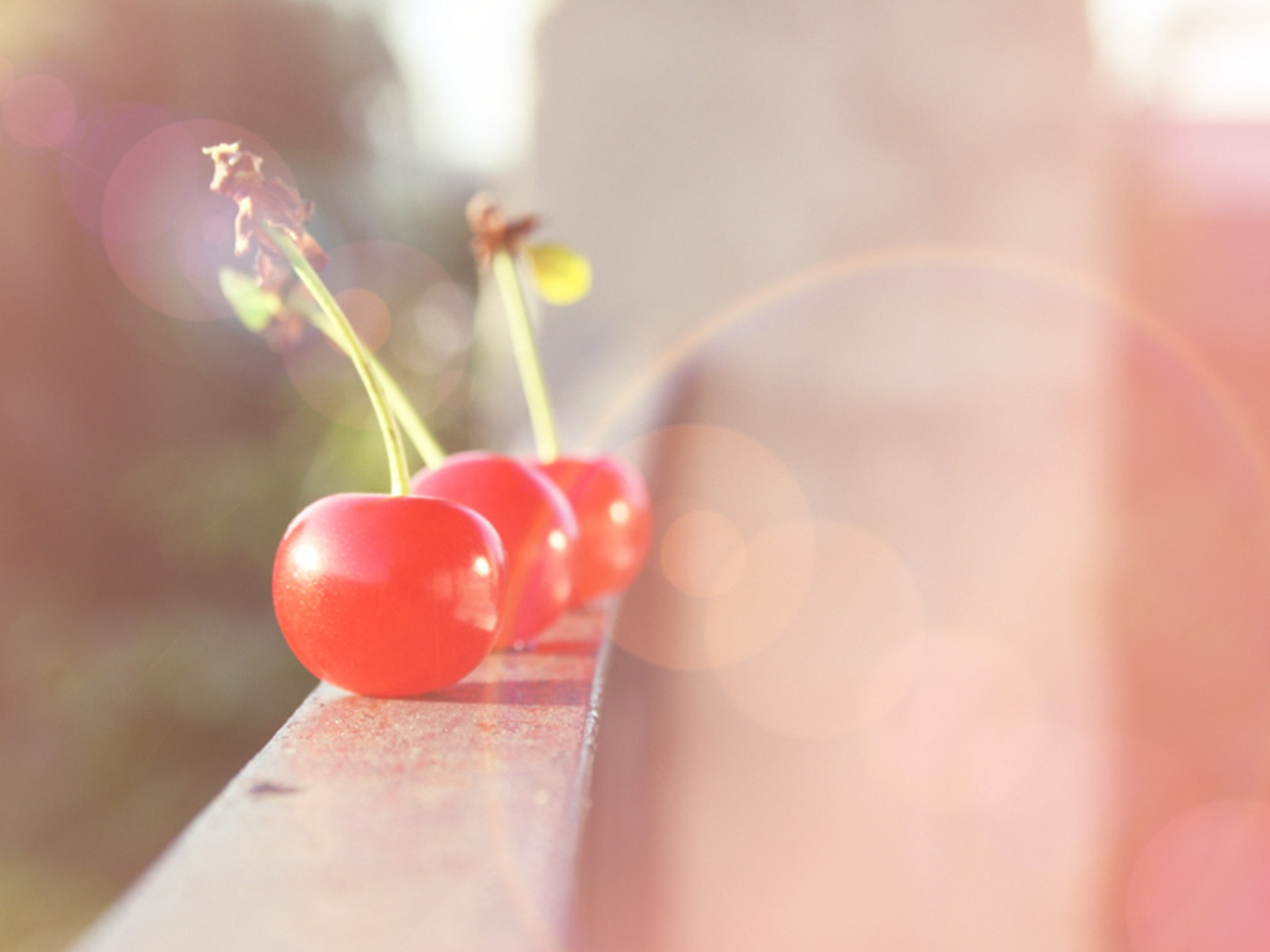 Вишня в лучах света