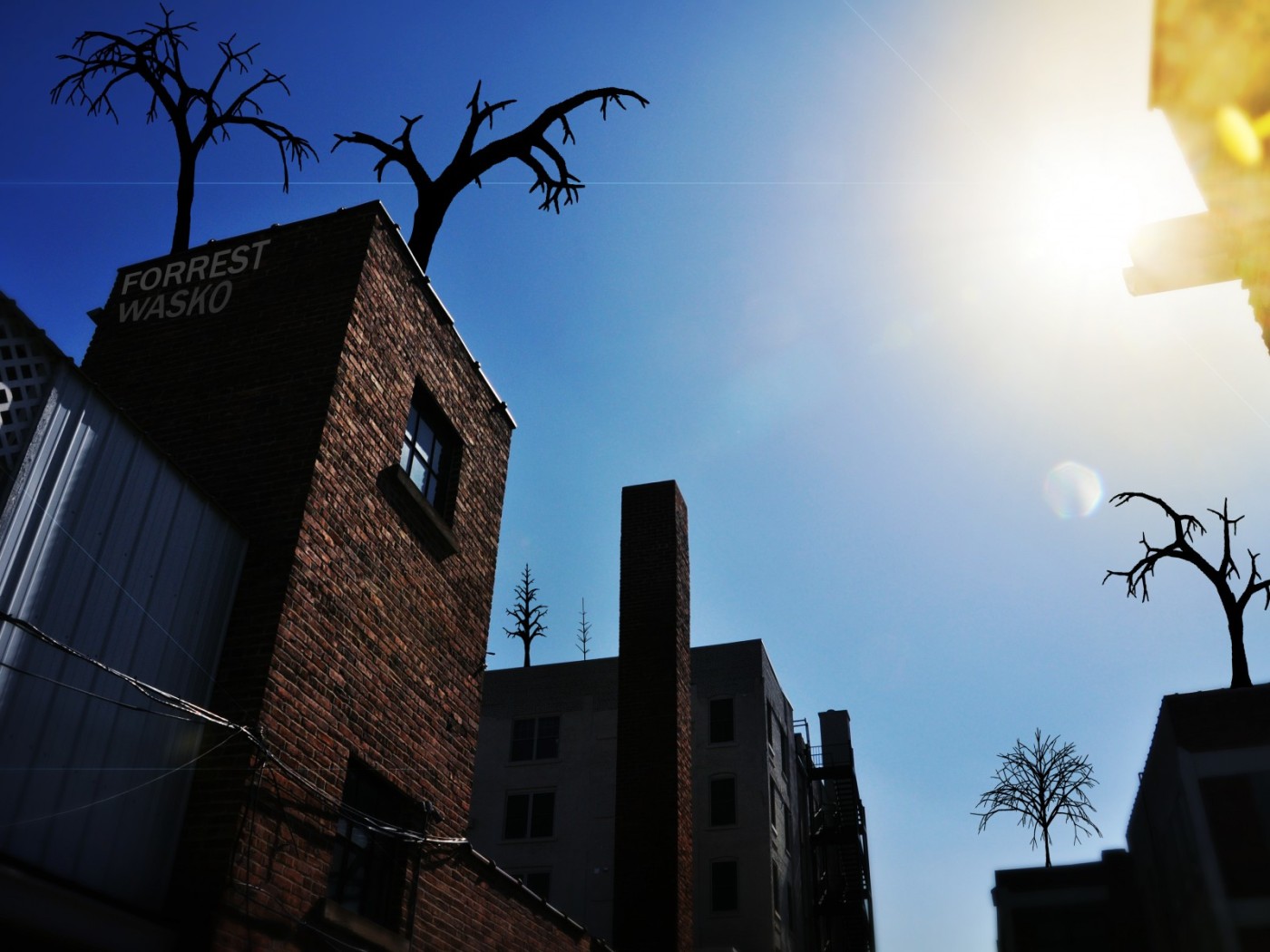 Деревья на крыше