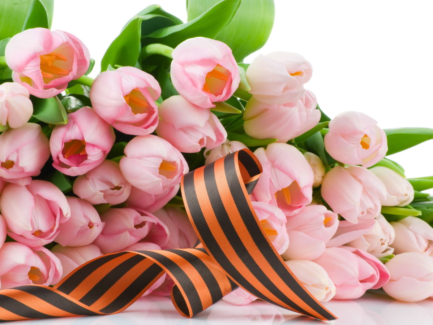 Лента и тюльпаны