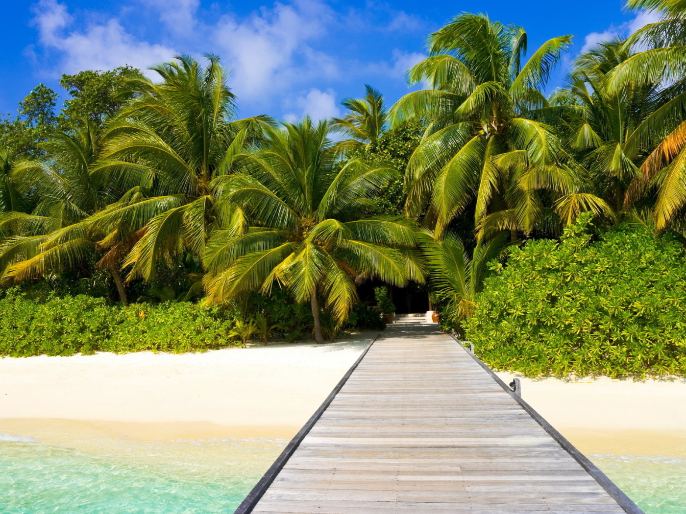 Пальмы на пляже