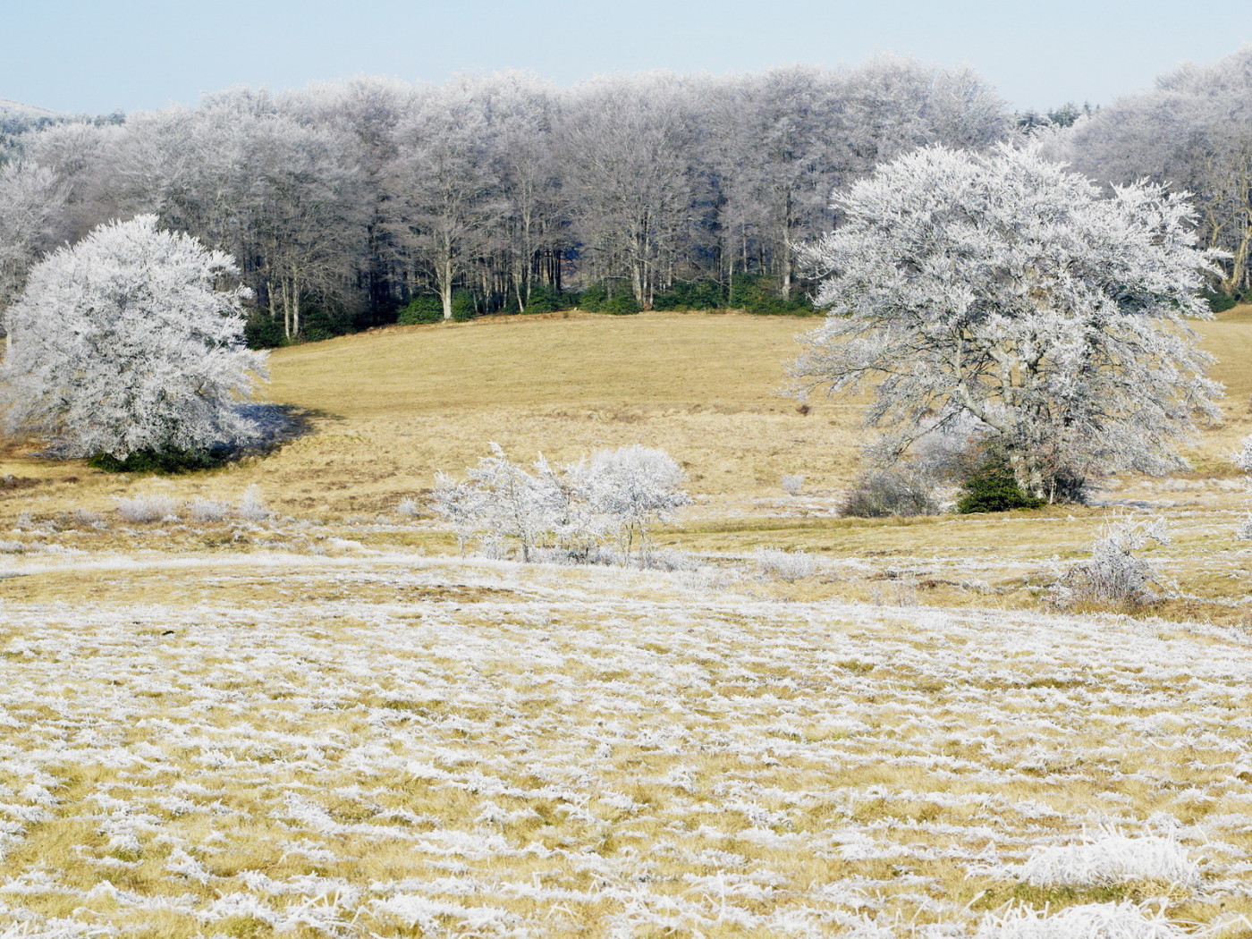 Холодным утром