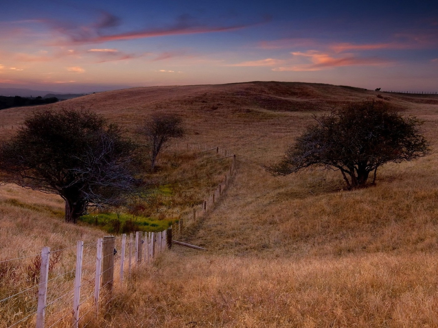 Поле и забор