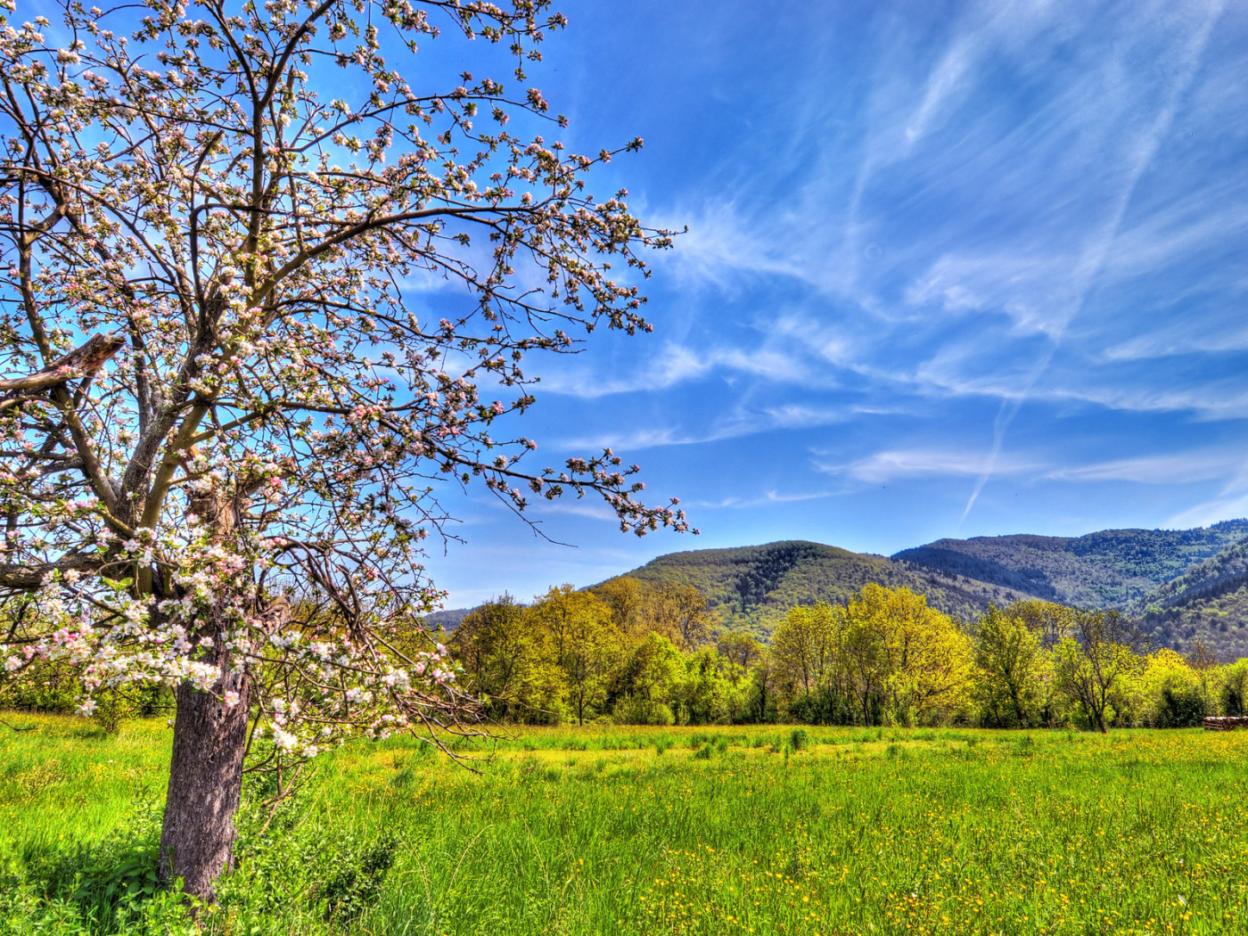 Весенний пейзаж