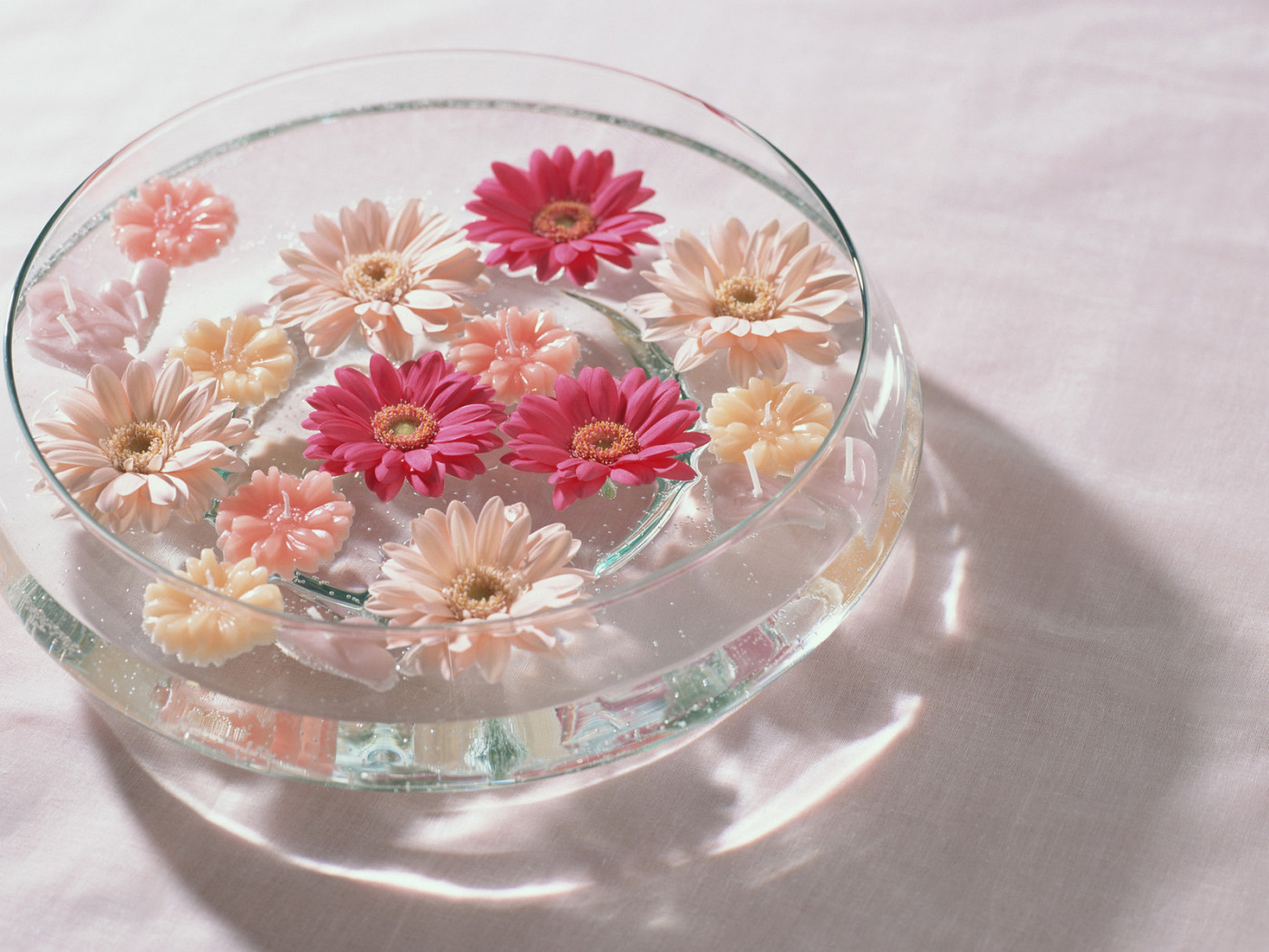 Герберы в воде