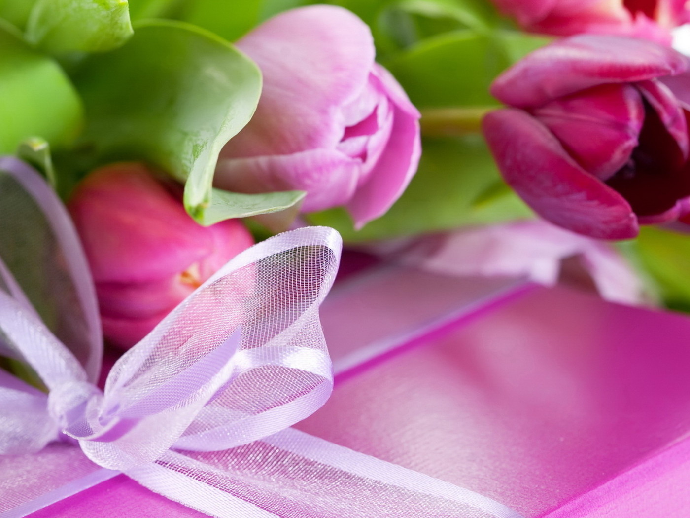 Тюльпаны и подарок