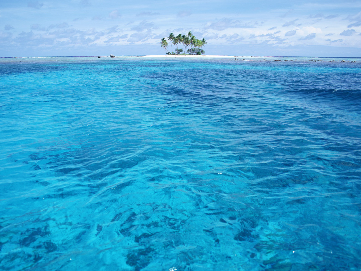 Остров с пальмами