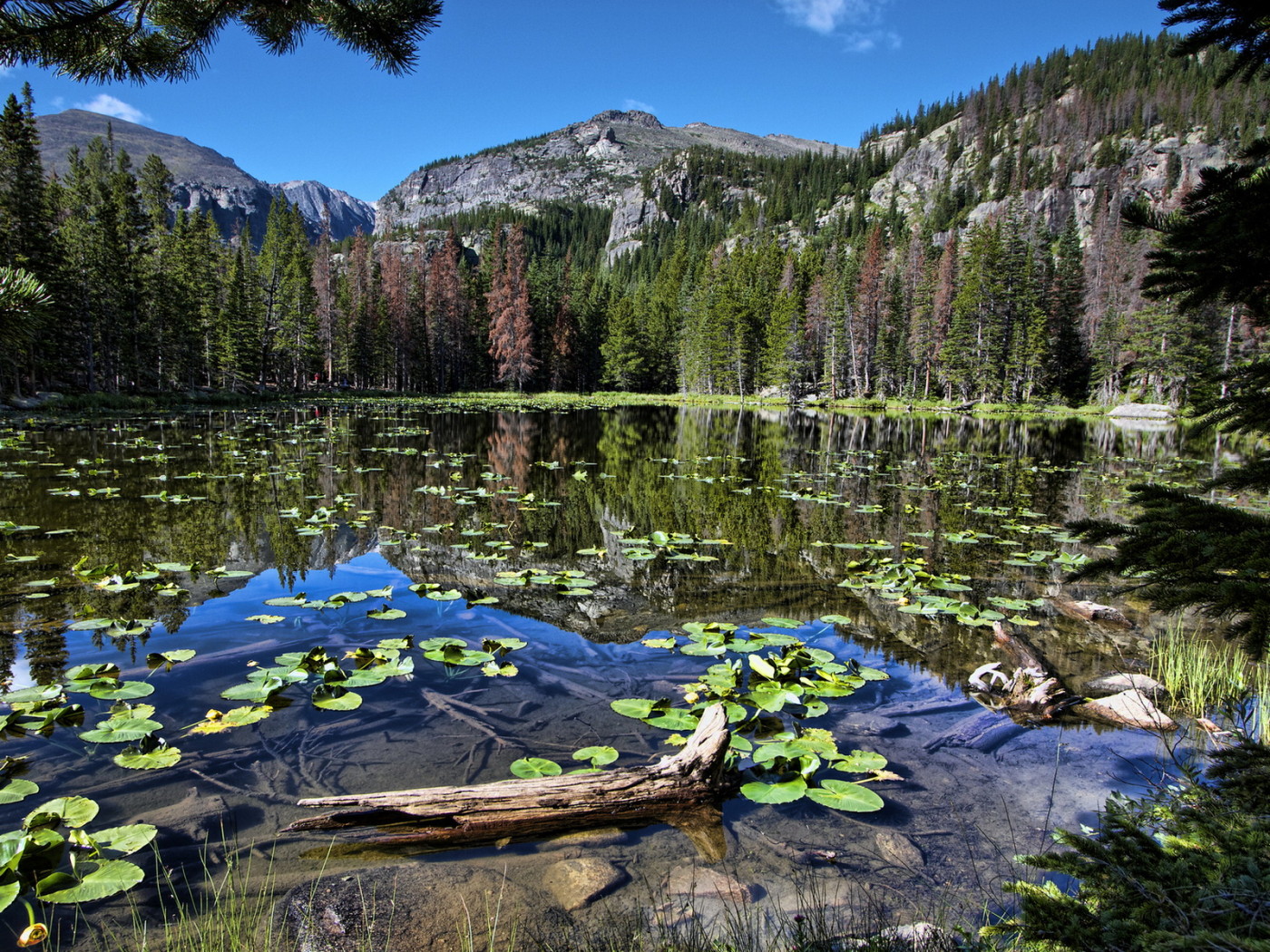 Горная запруда