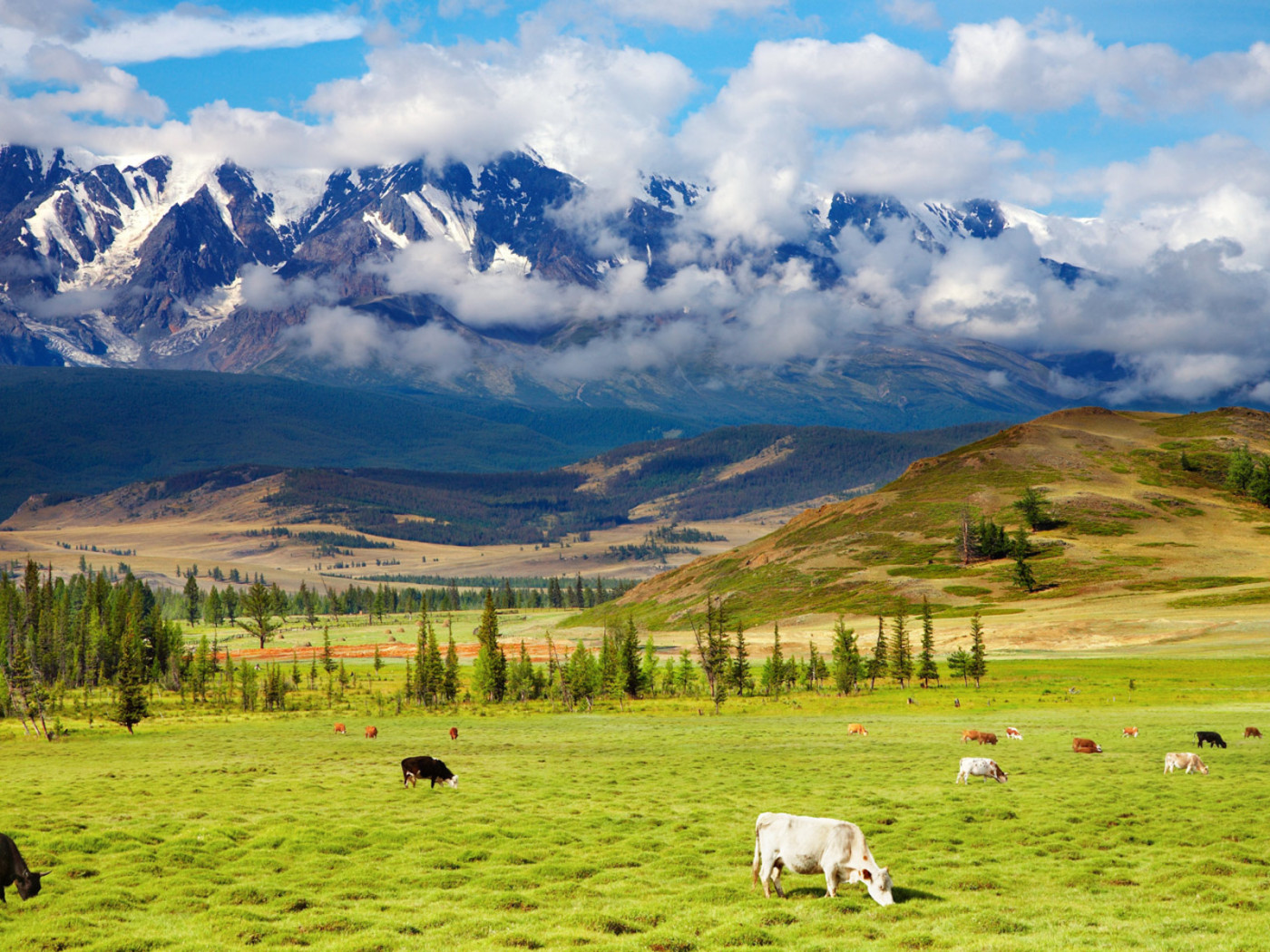 Пастбище у подножия