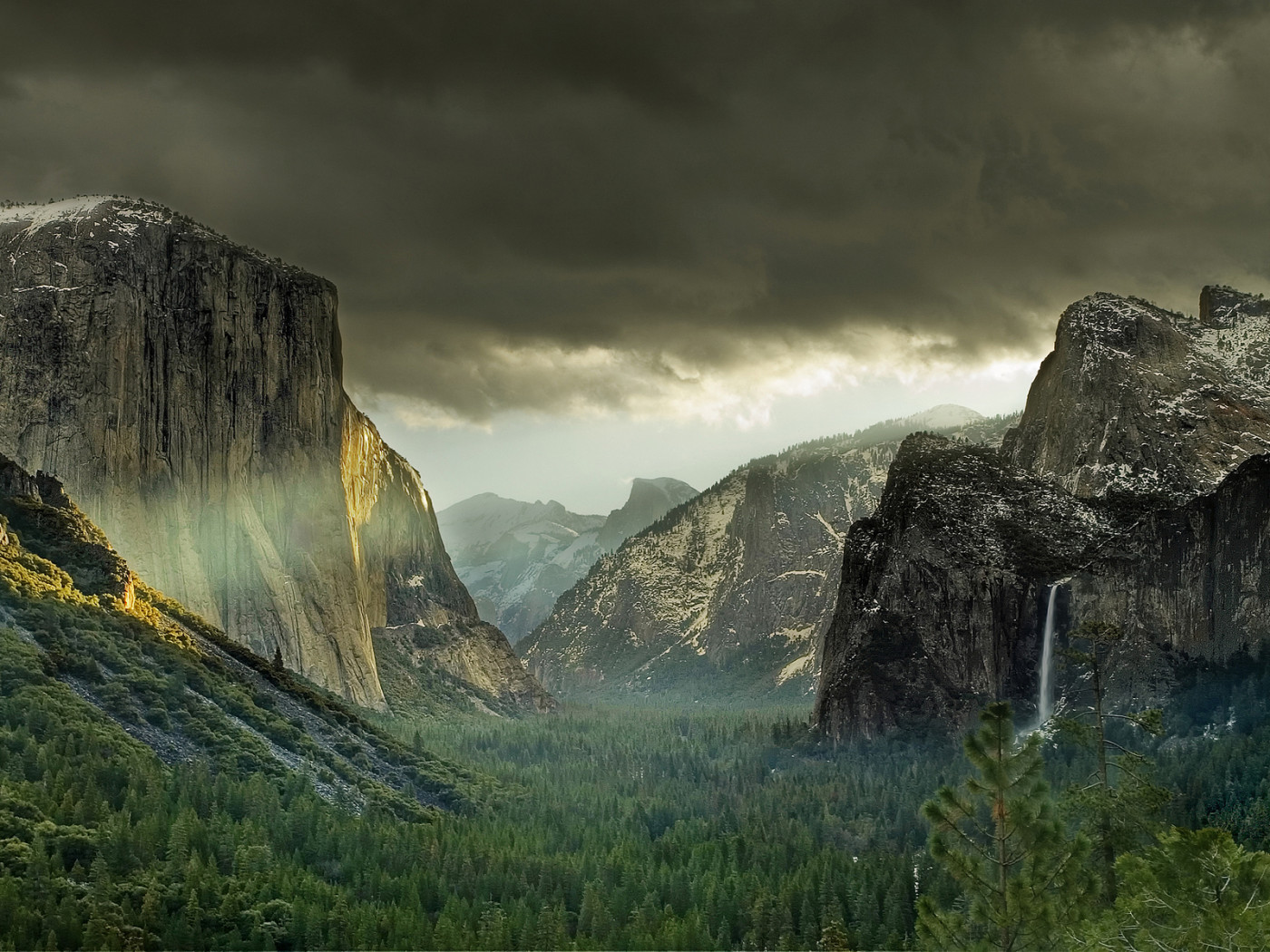 Лес у подножия гор