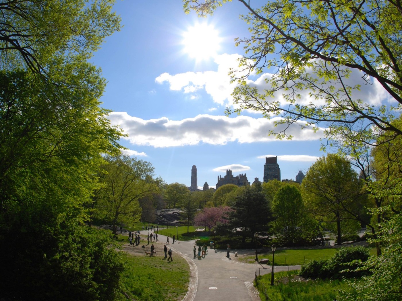 Городской парк