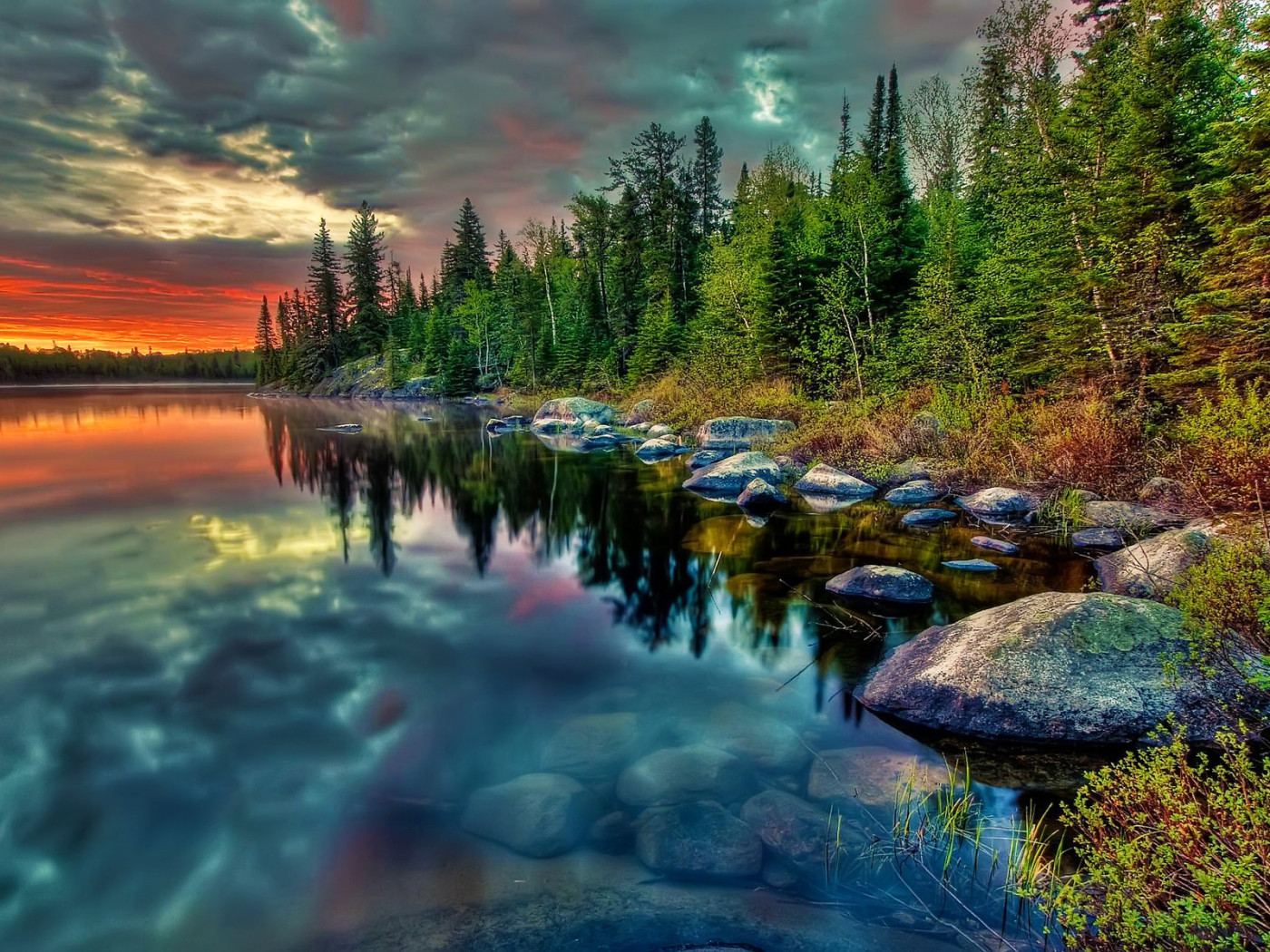 Лесное озеро