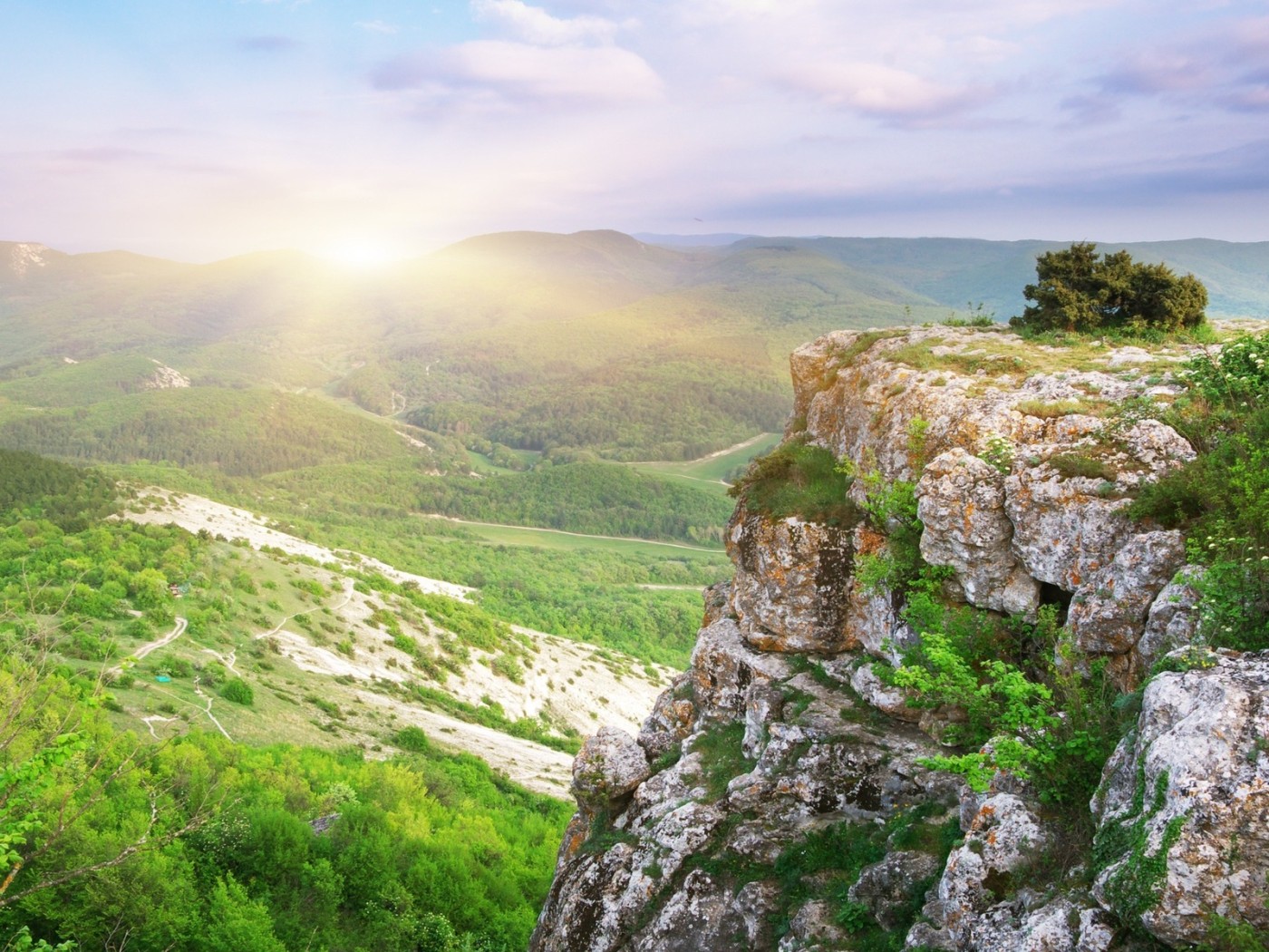 Лесная долина