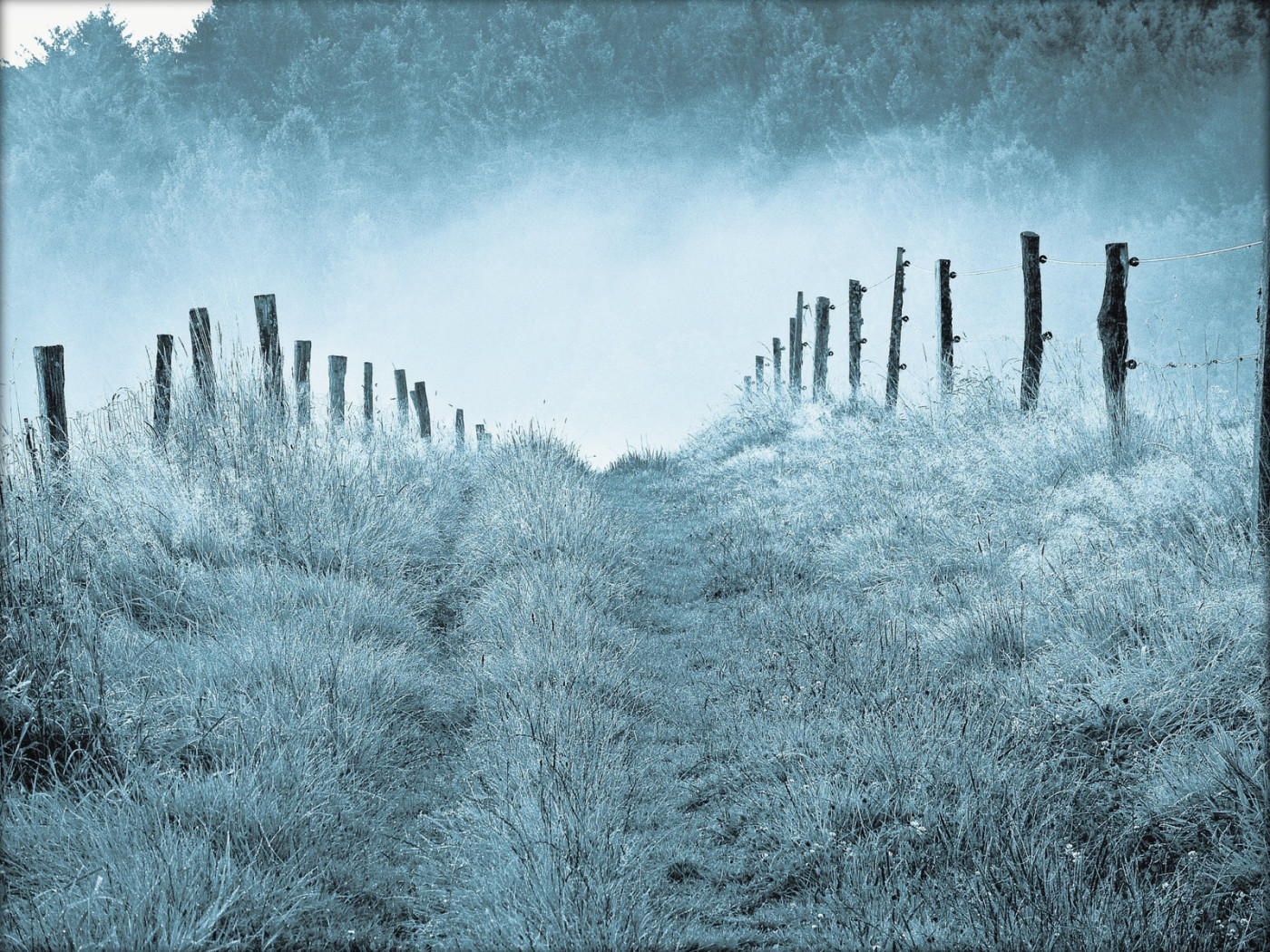 Туманным утром