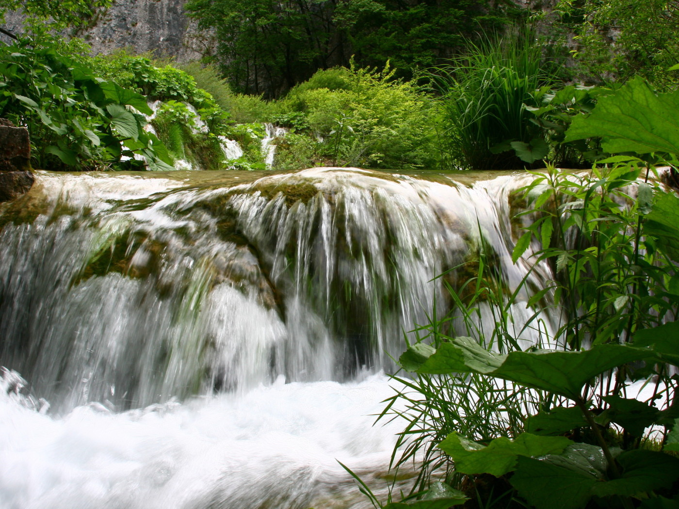 Игривый ручей