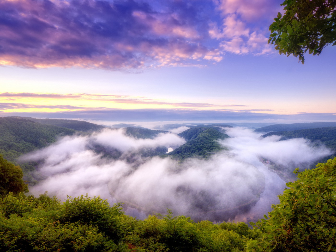 Река в тумане