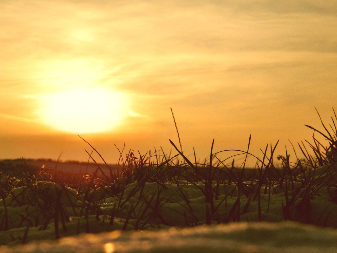 Сквозь снег