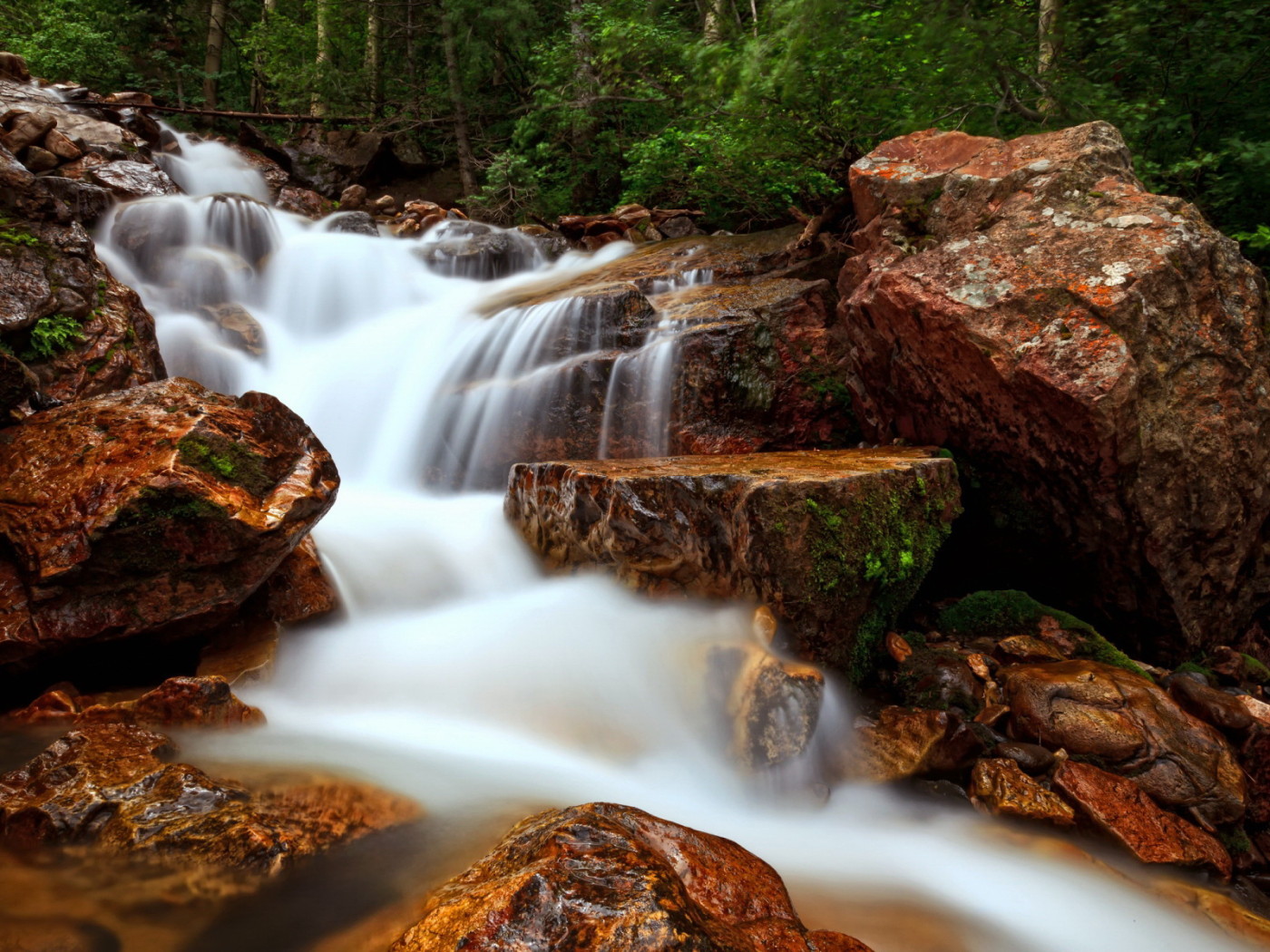 Лесной ручей