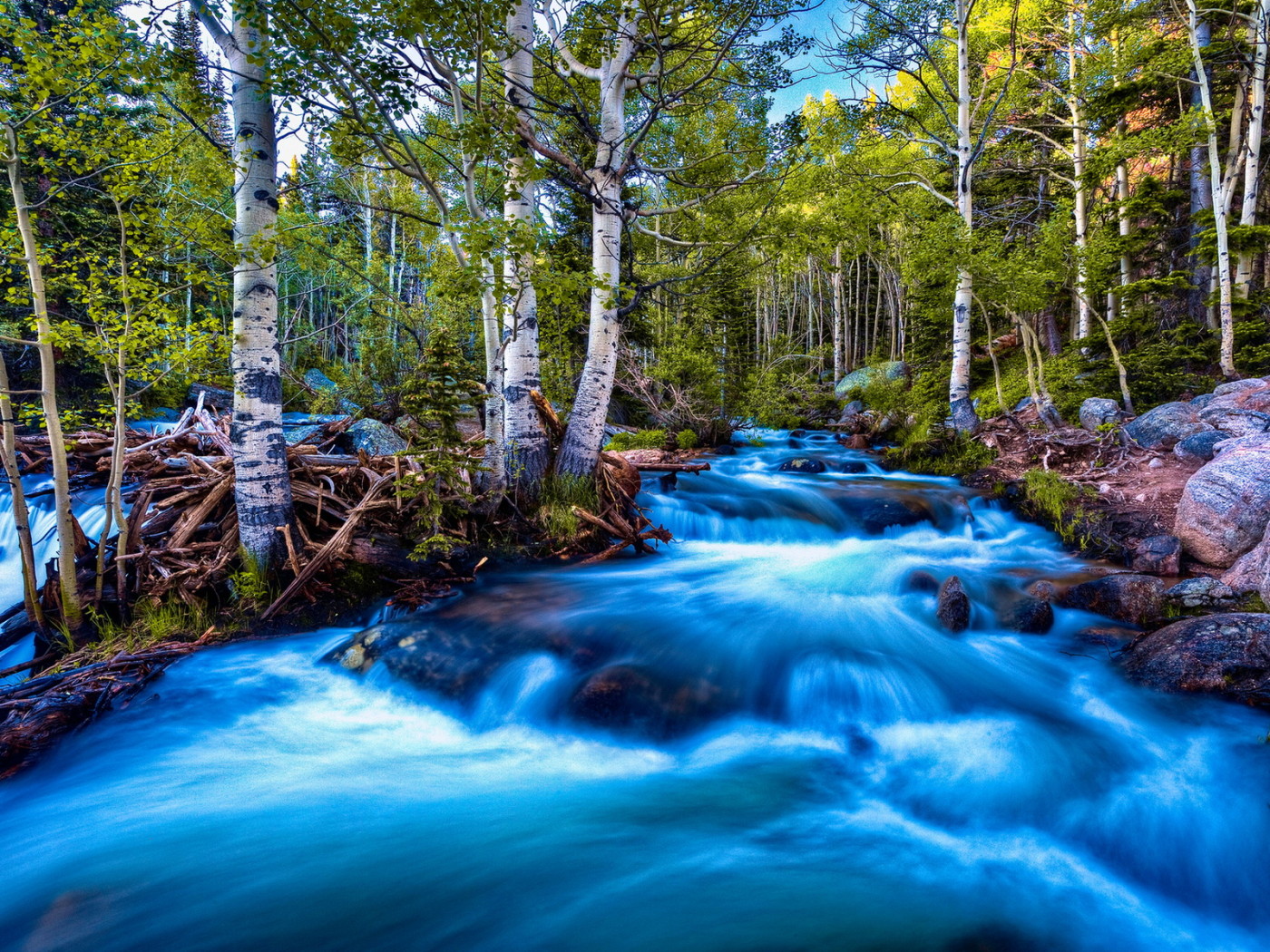 Речка в березах
