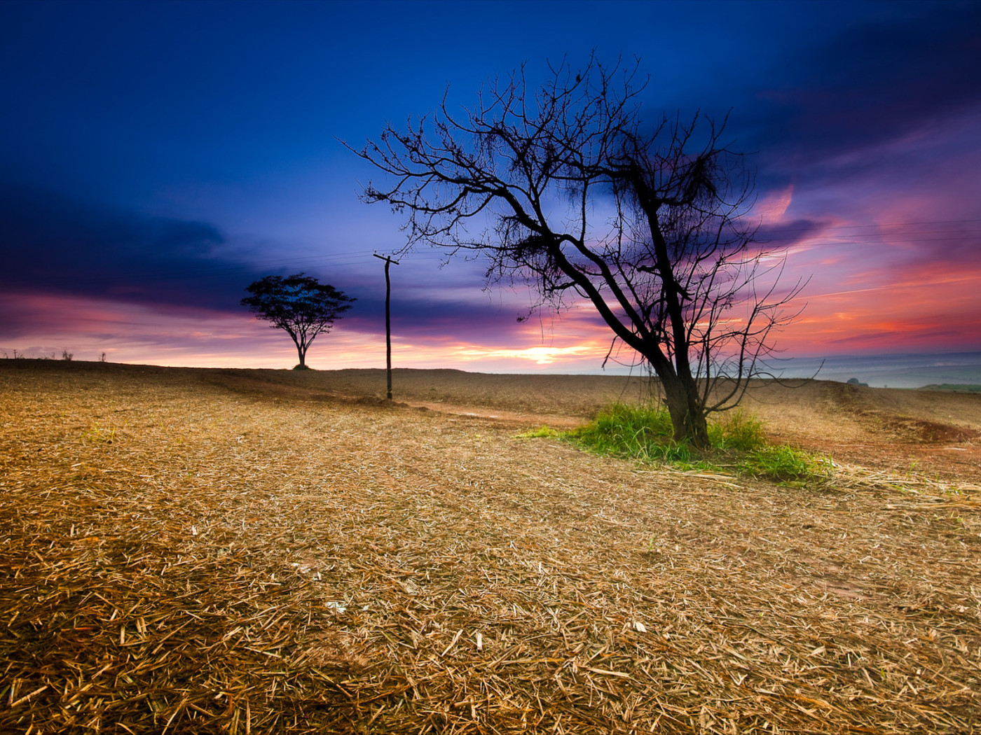Закат в поле