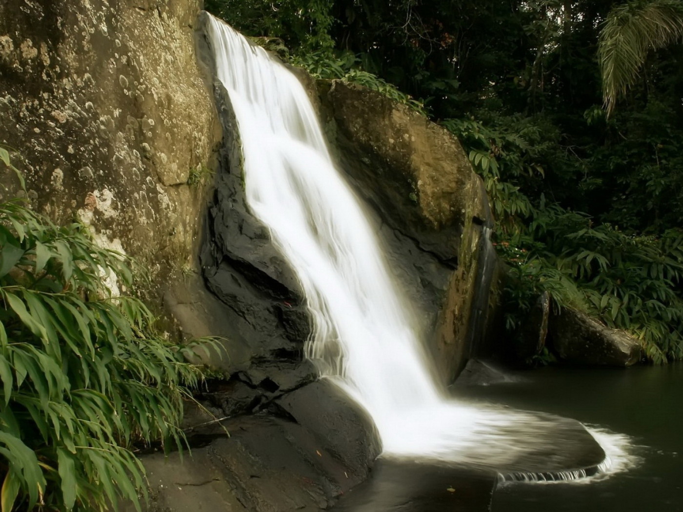Маленький лесной водопад