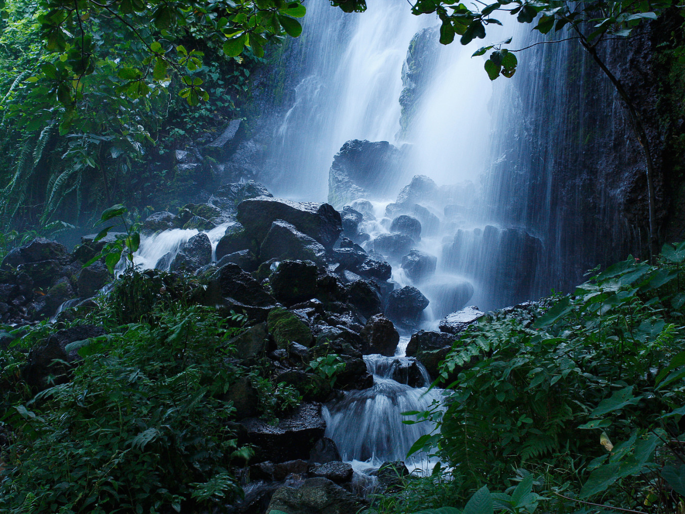 Лесной водопад