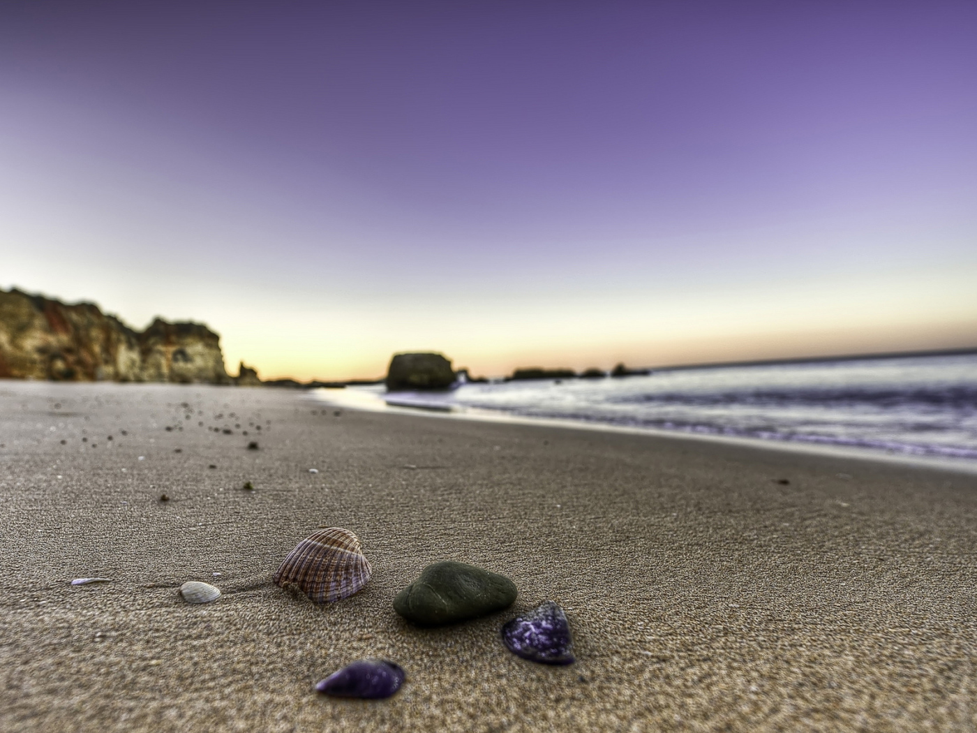 Ракушки на берегу