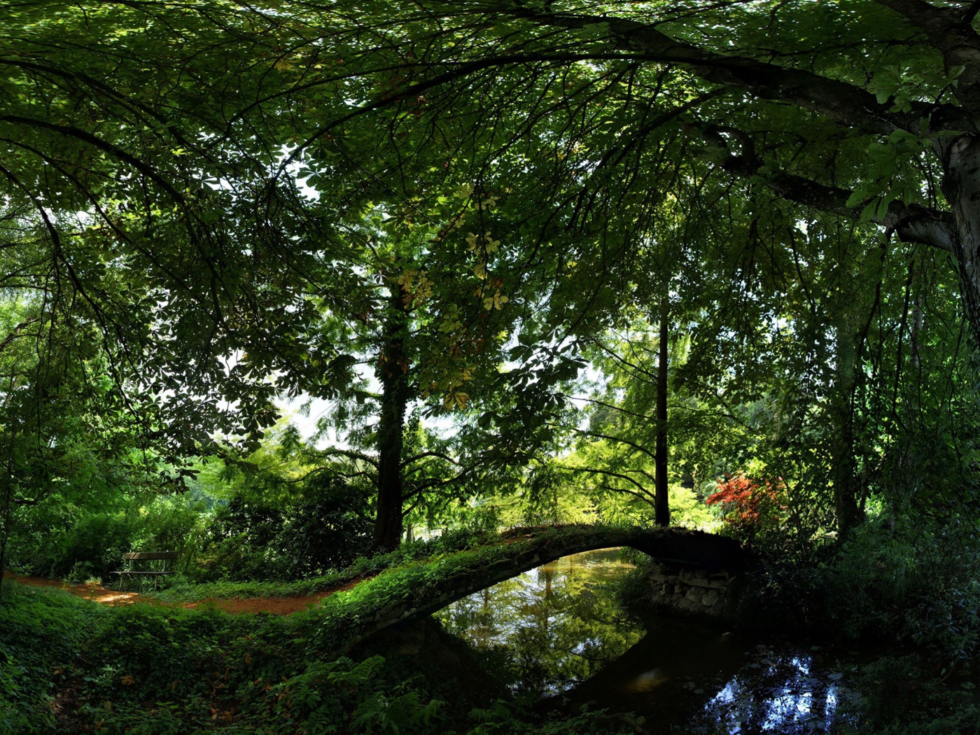 Лето Отдых в лесу