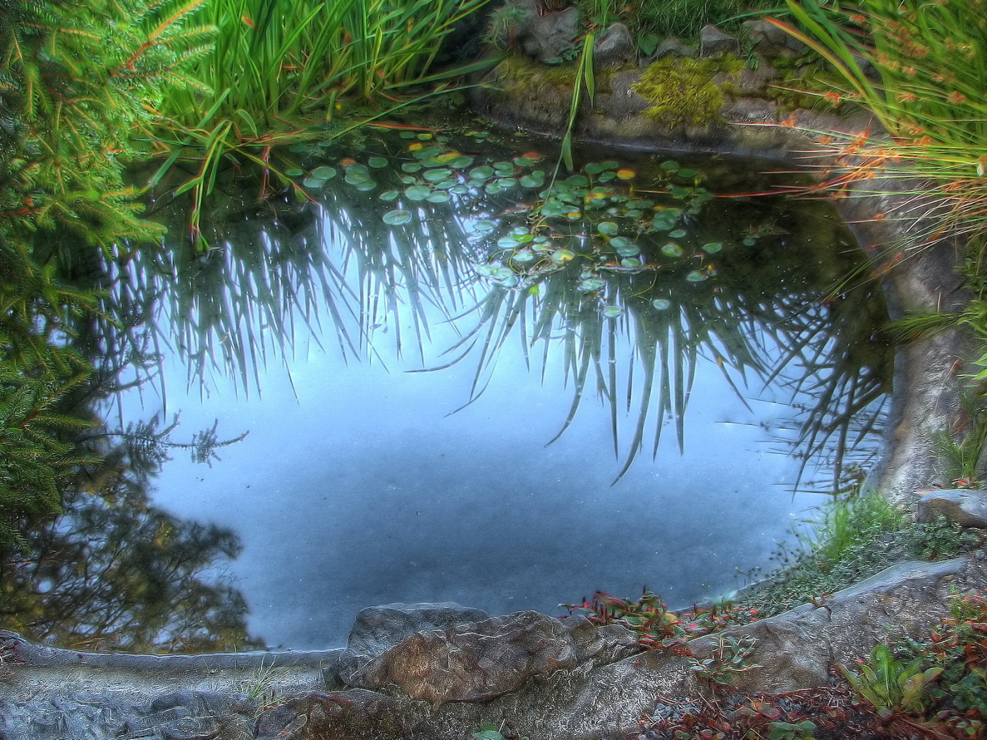 Среди камышей