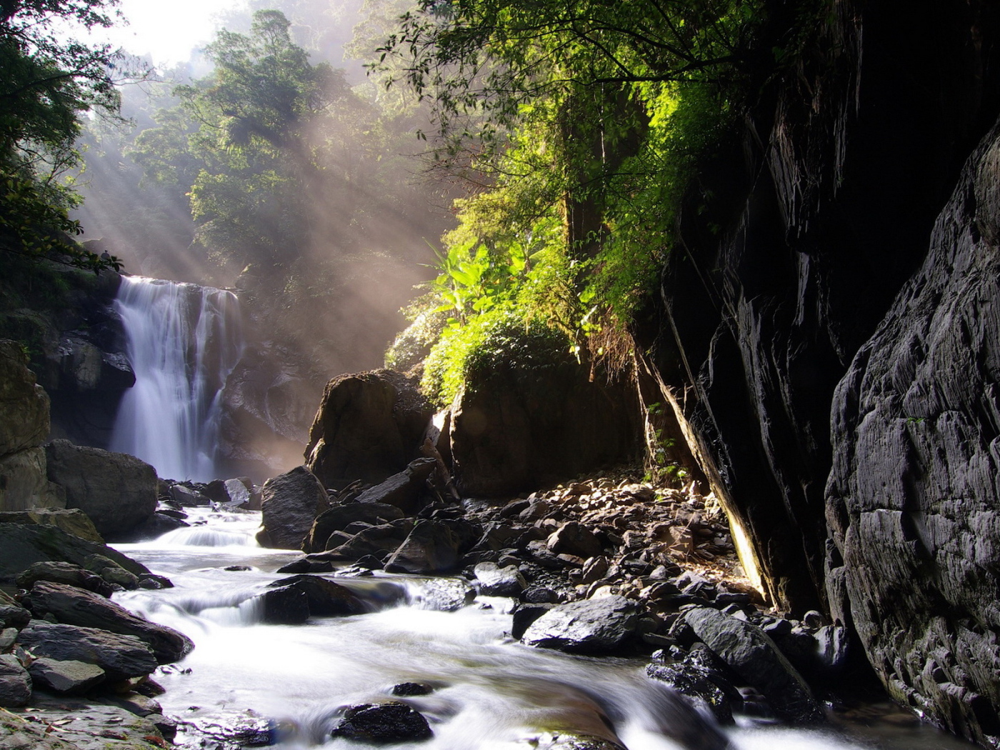 Ручей, лес, камни