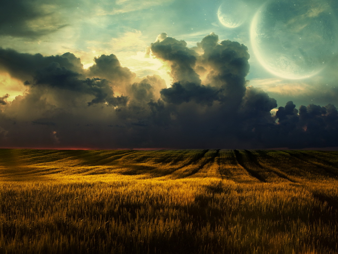 Золотое поле