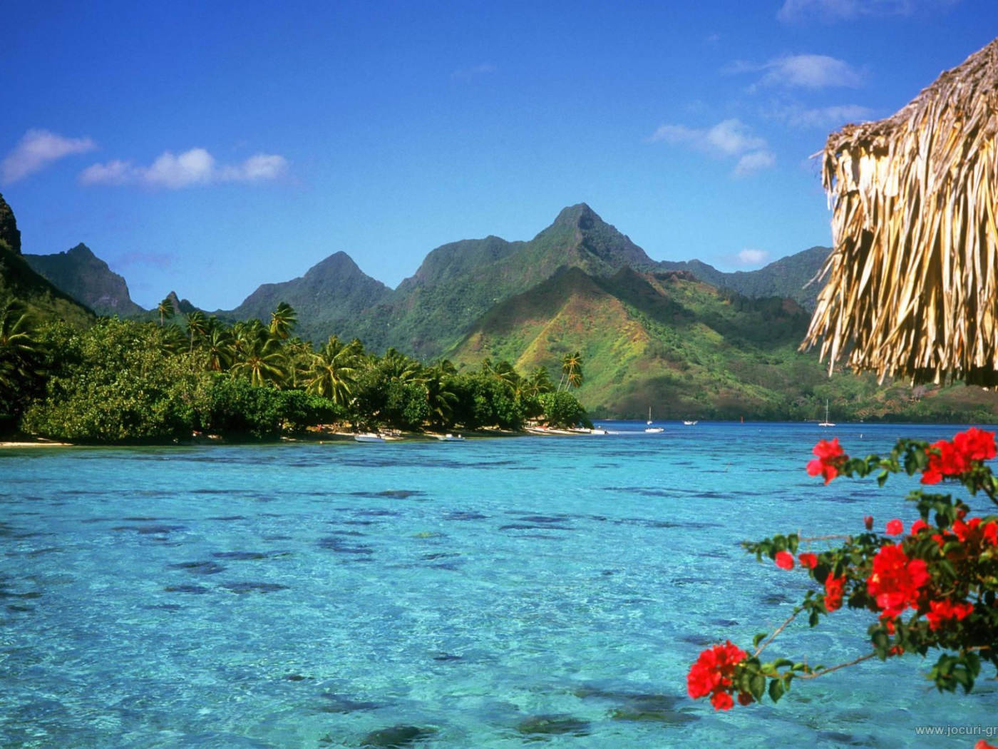 Путешествие на Багамы