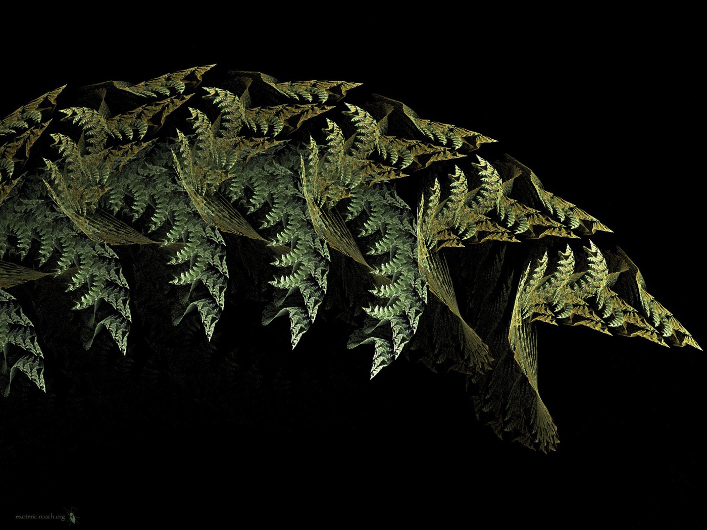 Листья папоротника