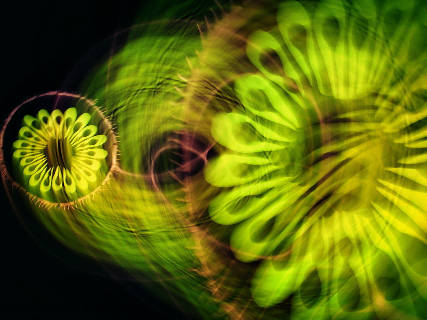 Зеленая абстракция