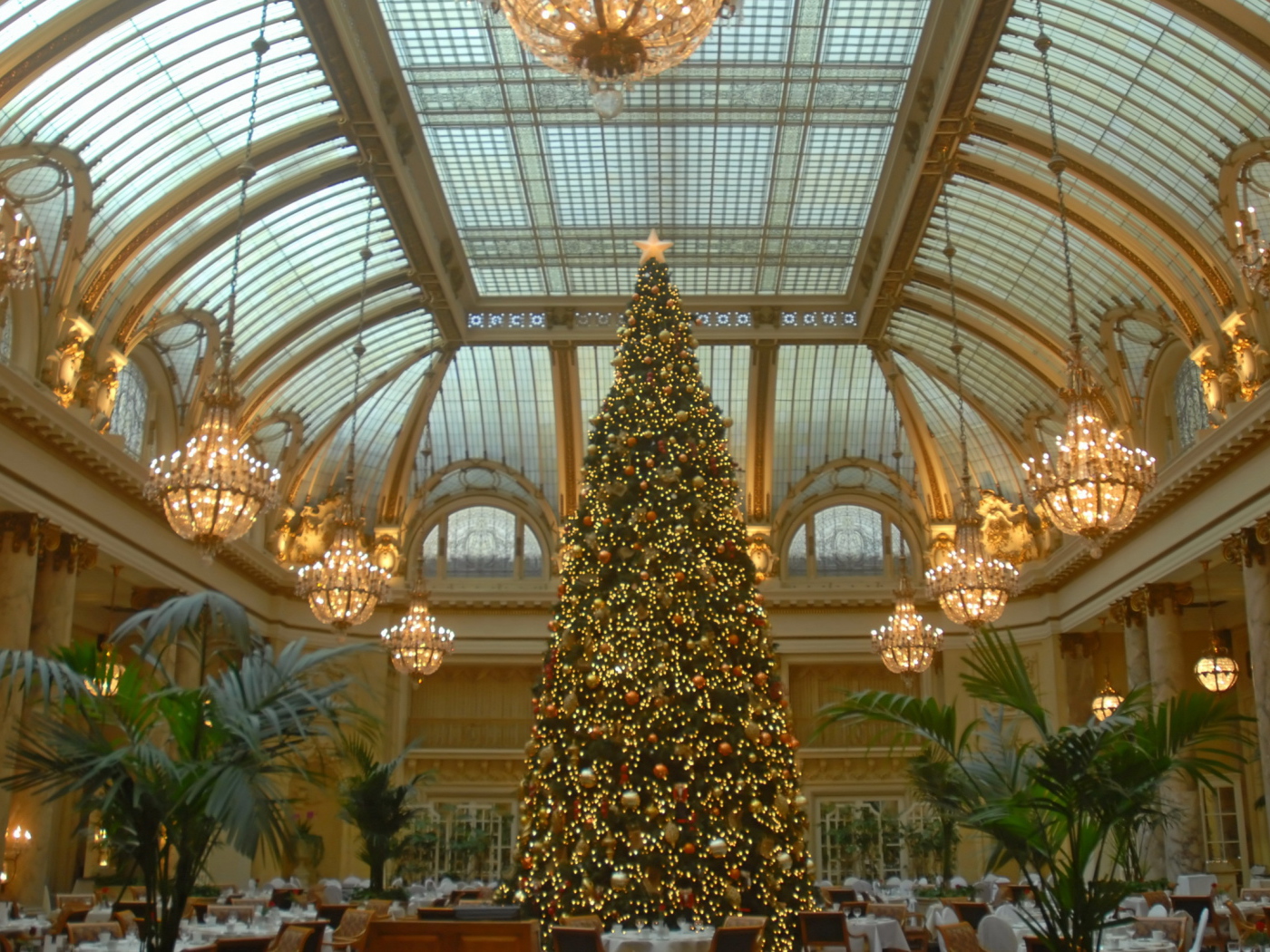 Новогодняя елка в зале