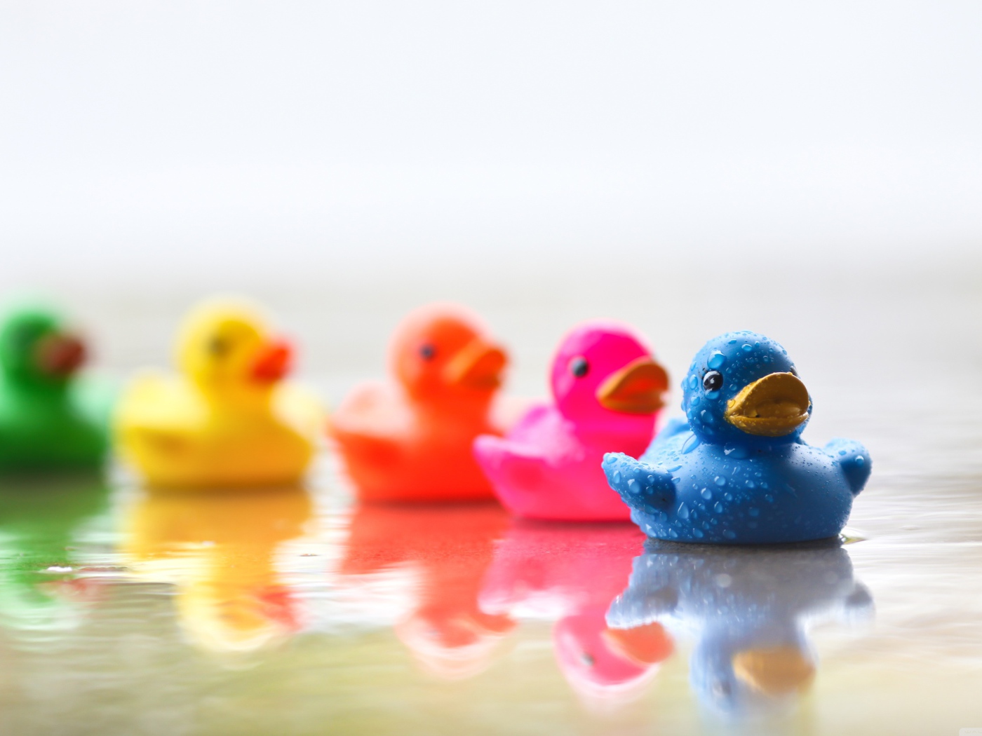 Разноцветные уточки